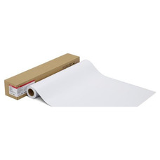 CANON Papel Photo Paper Pro Platinum 300 - 42 inch