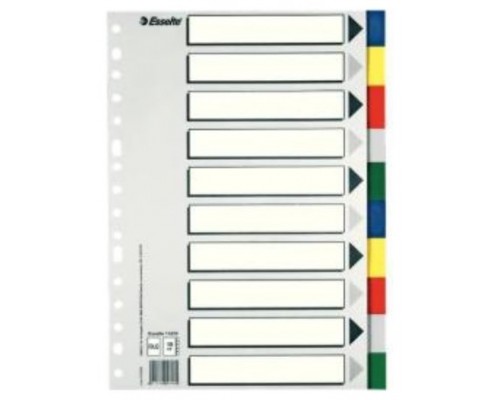 SEPARADOR DE POLIPROPILENO CON 10 POSICIONES FORMATO FOLIO COLORES VIVOS ESSELTE 11610 (Espera 4 dias)