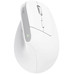 MOUSE TRUST WIRELESS ERGO BAYOII+ 25399-SX13 MOUSE TRUST WIRELESS ERGO BAYOII+ 25399