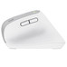 MOUSE TRUST WIRELESS ERGO BAYOII+ 25399-SX13 MOUSE TRUST WIRELESS ERGO BAYOII+ 25399