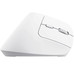 MOUSE TRUST WIRELESS ERGO BAYOII+ 25399-SX13 MOUSE TRUST WIRELESS ERGO BAYOII+ 25399