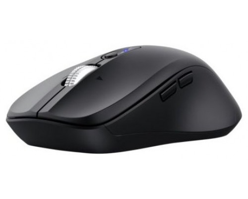 RATON TRUST FERRO BK-SX10 RATON TRUST FERRO BK