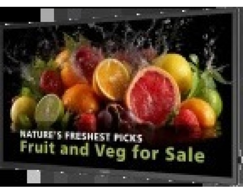 PHILIPS 24x7 ( ANDROID 11 SoC) 32" D-LINE, FHD, 500CD, 24/7 LANDSCAPE & PORTRAIT, ANDROID 14, MEDIAPLAYER, FULL FAILOVER, WIFI & BT, WAVE READY (32BDL5050D/00) (Espera 4 dias)