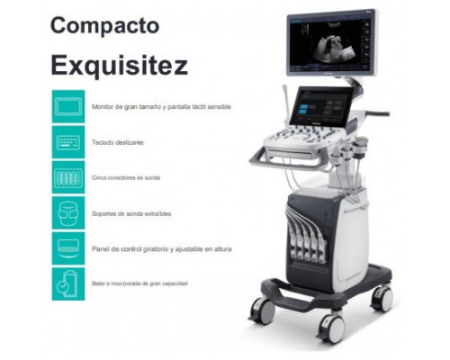 SONOSCAPE ECOGRAFO P10 C-FIELD BEAM, U-SCAN, COLOR DINAMICO HD FLOW, IMÁGENES ESPECIFICAS DE TEJIDOS (Espera 4 dias)