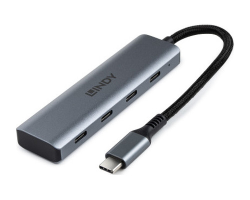 Lindy 43414 hub de interfaz USB 3.2 Gen 2 (3.1 Gen 2) Type-C 10000 Mbit/s Gris (Espera 4 dias)