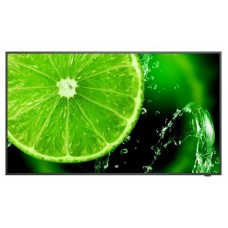 NEC MultiSync E438 Pantalla plana para señalización digital 108 cm (42.5") LCD 350 cd / m² 4K Ultra HD Negro 16/7 (Espera 4 dias)