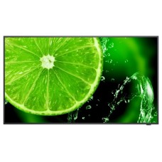 NEC MultiSync E658 165,1 cm (65") IPS 350 cd / m² 4K Ultra HD Negro 16/7 (Espera 4 dias)-SX66 NEC MultiSync E658 165,1 cm (65") IPS 350 cd / m² 4K Ultra HD Negro 16/7 (Espera 4 dias)