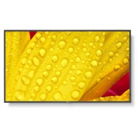 NEC MultiSync M501-2 Diseño de quiosco 127 cm (50") LED 4K Ultra HD Negro Procesador incorporado (Espera 4 dias)