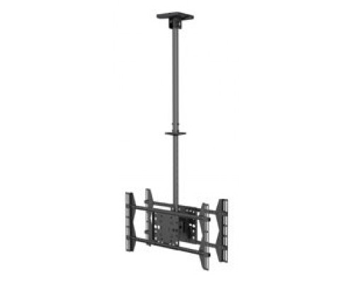 SOPORTE DE TECHO PROFESIONAL EQUIP 650370 PARA 2