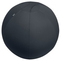 Leitz Active Sitzball 55cm Gris Interior Esférico (Espera 4 dias)