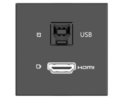 KRAMER ROOM CONNECTIVITY PASSIVE BLACK MODULE WITH 1 HDMI PORT + 1 USBB PORT INPUT.- MD-H+B/AF(B) (80-000358) (Espera 4 dias)