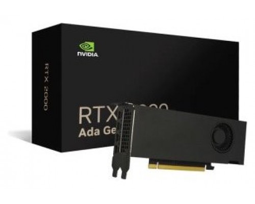 VGA NVIDIA RTX 2000 ADA 16 GB GDDR6 2 BRACKETS.