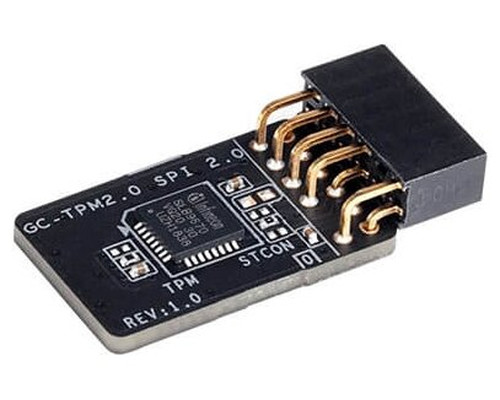 ASUS TPM-M R2.0 Universal (Espera 4 dias)