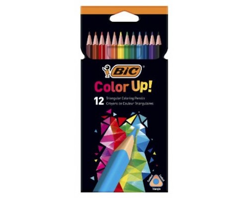 ESTUCHE 12 LAPICEROS INTENSITY UP COLORES SURTIDOS BIC 9505273 (Espera 4 dias)