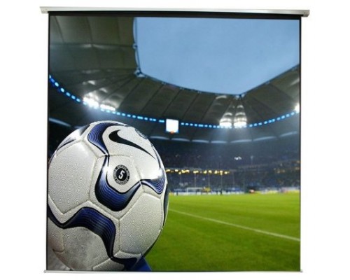 PANTALLA MURAL ELECTRICA APPROX (166") 300x300