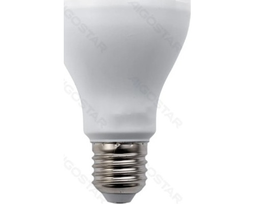 BOMBILLA LED A67-E27 20W 6500K LUZ FRIA 2100LM AIGOSTAR (Espera 4 dias)