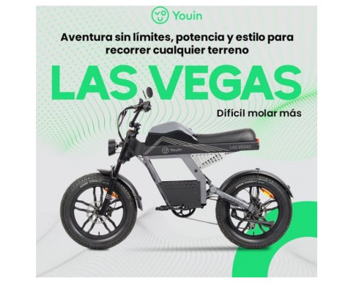 YOUIN E-BIKE URBAN STYLE FAT (Espera 4 dias)-SX105 YOUIN E-BIKE URBAN STYLE FAT (Espera 4 dias)