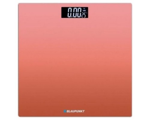 BLP-PAE-BAS BP5008
