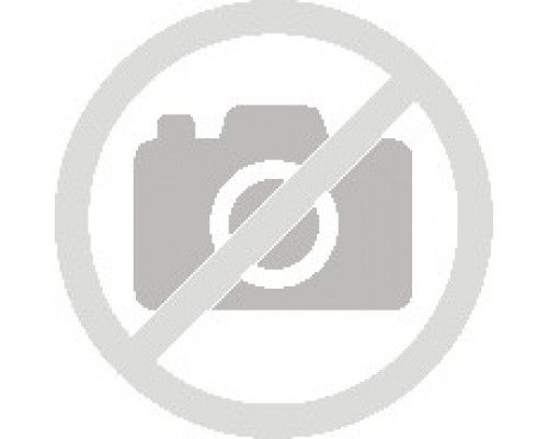 EPSON C12C940571 Lift kit