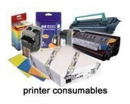 Epson GF Papel Adhesive Synthetic, 24" x 30.5m, 135g