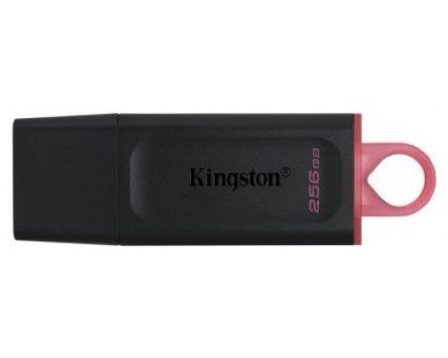 Kingston - Exodia Memoria USB 256GB - USB 3.2 Gen 1 -