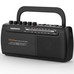 DAE-RADIO DW1108