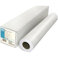 HP Papel Professional Matte Canvas 410 g/m&sup2; 1067 mm x 15,2 m