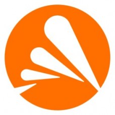 AVAST BUSINESS PATCH MANAGEMENT 1 AÃ‘O