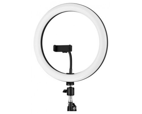 iggual Kit Aro luz LED 10" + Trípode 200 cm