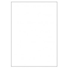 CAJA 100 HOJAS ETIQUETAS BLANCAS SIN MÁRGENES-LÁSER/INYECCIÓN DE TINTA/FOTOCOPIADORAS-210X297 MM MEGASTAR LP4MS-210297 (Espera 4 dias)