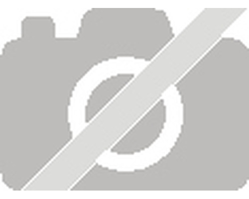 IT3D Modulo especializacion Biopolimeros