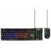 Ewent PL3201 teclado USB QWERTY Español Negro (Espera 4 dias)