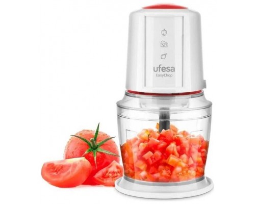 PAE PICADORA EASYCHOP UFESA 70505180  2 VEL CIERRE