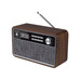 RADIO SUNSTECH RPBT500WD-SX14 RADIO SUNSTECH RPBT500WD