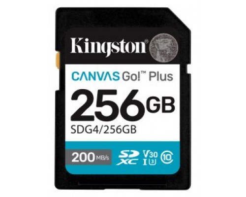 Kingston Technology 256GB SDXC Canvas Go Plus Gen4 200MB/s C10 UHS-I U3 V30 (Espera 4 dias)