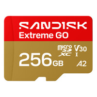SanDisk Extreme GO 256 GB MicroSDXC UHS-I (Espera 4 dias)
