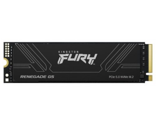Kingston Technology 2T FURY RENEGADE G5 M.2 2280 NVMe SSD (Espera 4 dias)