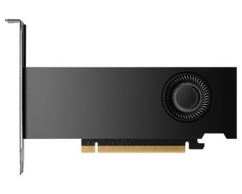 PNY NVIDIA RTX 2000 Ada Generation 16 GB GDDR6 (Espera 4 dias)