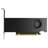 PNY RTX PRO 2000 Blackwell NVIDIA 16 GB GDDR7 (Espera 4 dias)