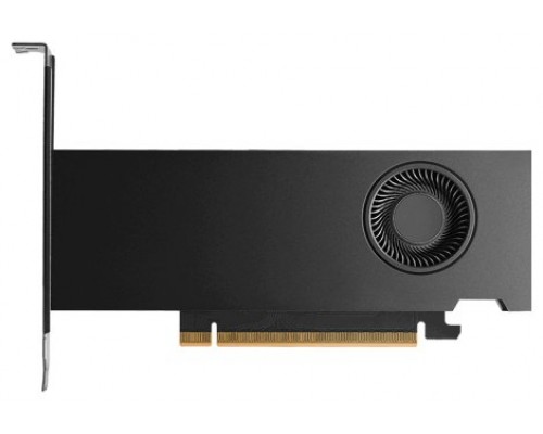 PNY RTX PRO 2000 Blackwell NVIDIA 16 GB GDDR7 (Espera 4 dias)